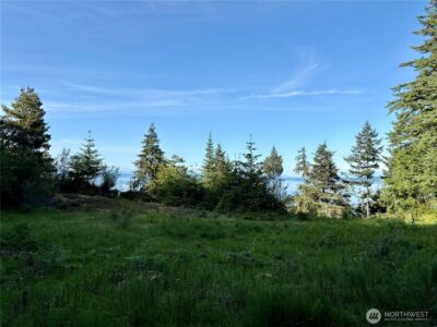 0 Raccoon Point Road #Lot 19, Orcas Island, WA 98245 - Photo 25