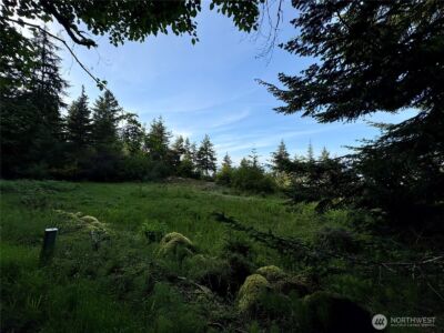 0 Raccoon Point Road #Lot 19, Orcas Island, WA 98245 - Photo 26