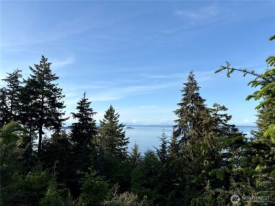 0 Raccoon Point Road #Lot 19, Orcas Island, WA 98245 - Photo 27