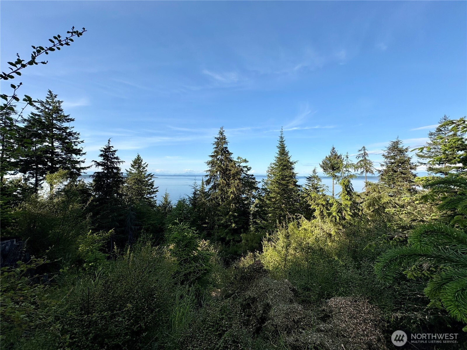 0 Raccoon Point Road #Lot 19, Orcas Island, WA 98245