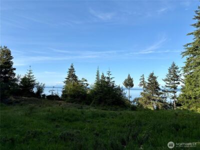 0 Raccoon Point Road #Lot 19, Orcas Island, WA 98245 - Photo 3