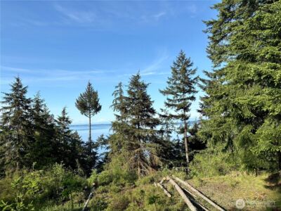 0 Raccoon Point Road #Lot 19, Orcas Island, WA 98245 - Photo 4