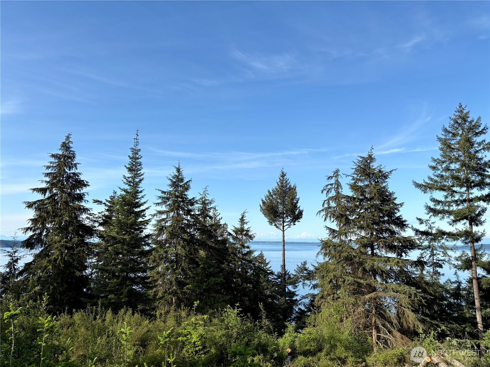 0 Raccoon Point Road #Lot 19, Orcas Island, WA 98245