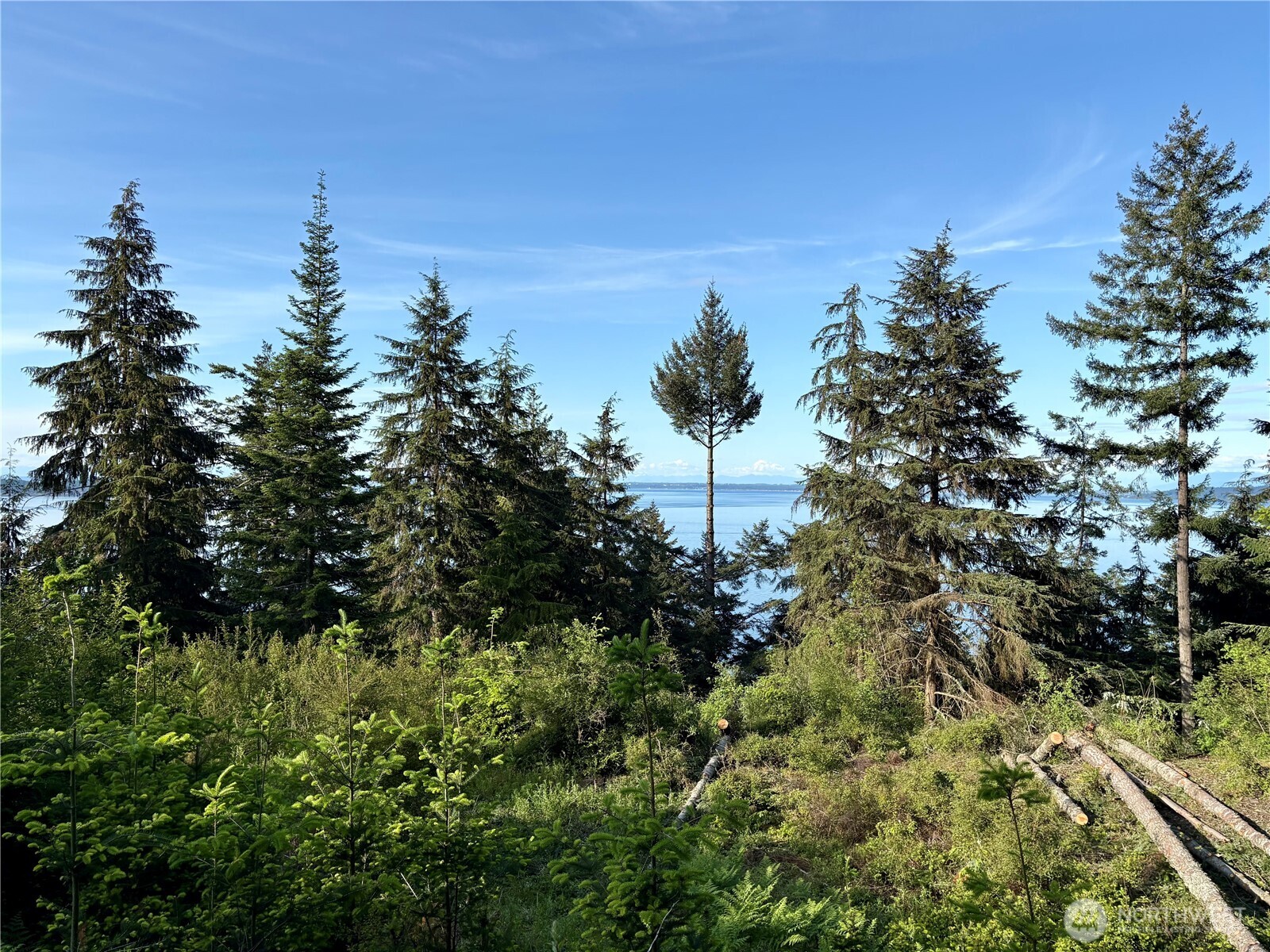 0 Raccoon Point Road #Lot 19, Orcas Island, WA 98245