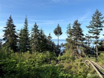 0 Raccoon Point Road #Lot 19, Orcas Island, WA 98245 - Photo 7