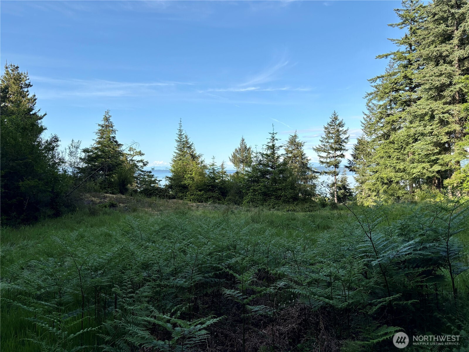 0 Raccoon Point Road #Lot 19, Orcas Island, WA 98245