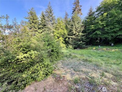 0 Raccoon Point Road #Lot 19, Orcas Island, WA 98245 - Photo 9