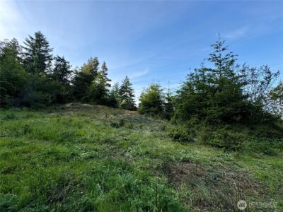 0 Raccoon Point Road #Lot 19, Orcas Island, WA 98245 - Photo 10