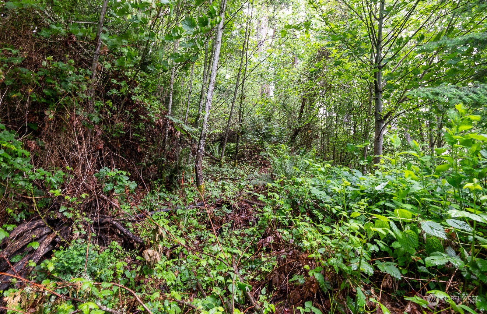 4 Sulphur Springs Lane , Bremerton, WA 98310