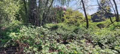 0 xxx 140th Avenue NE, Woodinville, WA 98072 - Photo 12