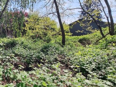 0 xxx 140th Avenue NE, Woodinville, WA 98072 - Photo 13