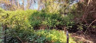 0 xxx 140th Avenue NE, Woodinville, WA 98072 - Photo 24