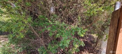 0 xxx 140th Avenue NE, Woodinville, WA 98072 - Photo 26