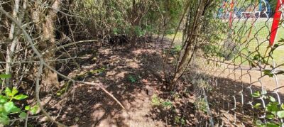 0 xxx 140th Avenue NE, Woodinville, WA 98072 - Photo 27