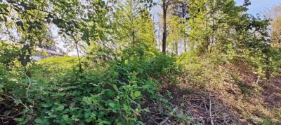 0 xxx 140th Avenue NE, Woodinville, WA 98072 - Photo 4