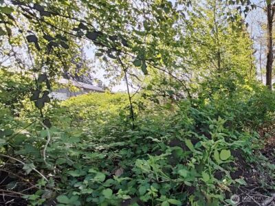 0 xxx 140th Avenue NE, Woodinville, WA 98072 - Photo 5