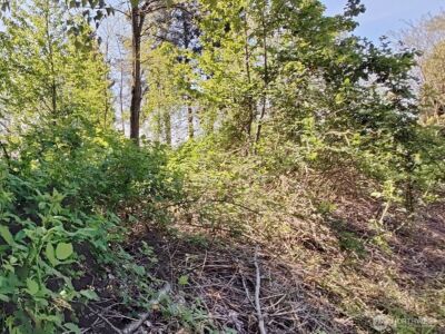 0 xxx 140th Avenue NE, Woodinville, WA 98072 - Photo 6