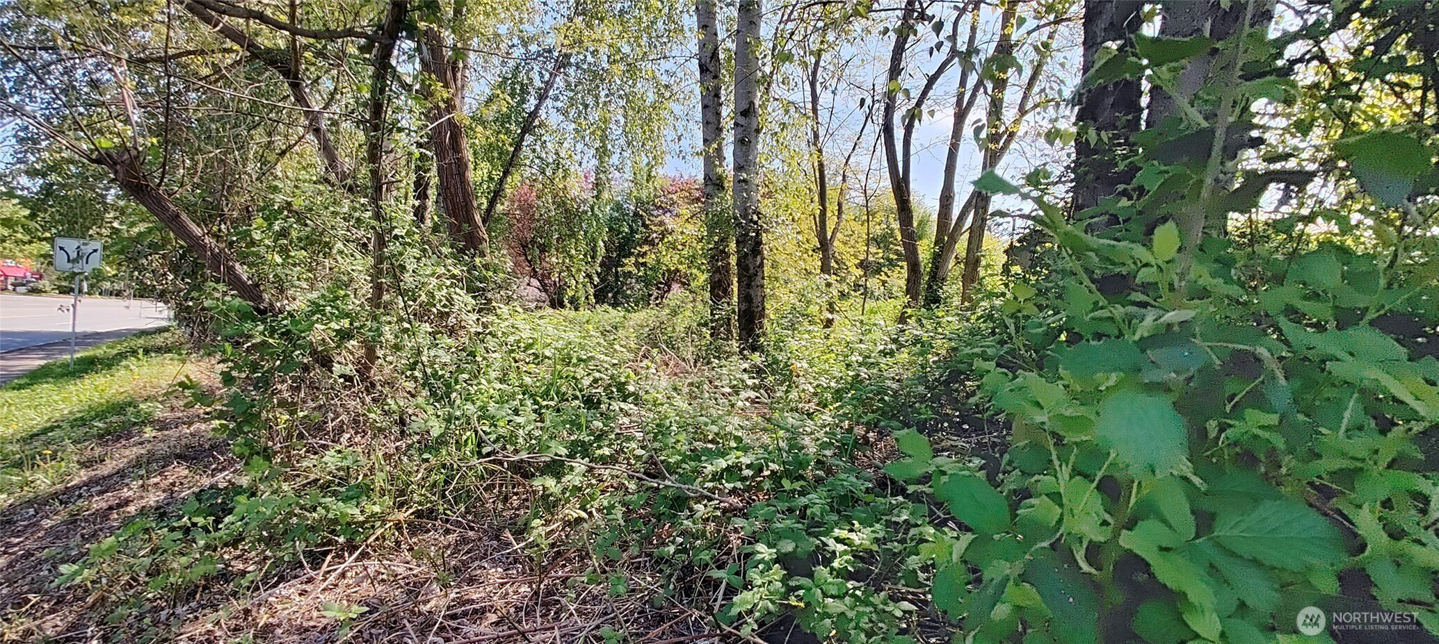 0 xxx 140th Avenue NE, Woodinville, WA 98072