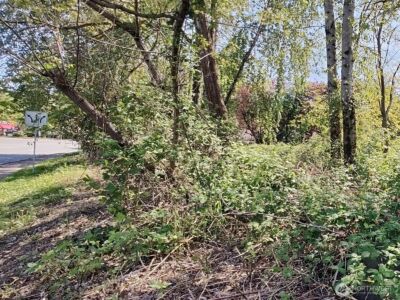 0 xxx 140th Avenue NE, Woodinville, WA 98072 - Photo 8