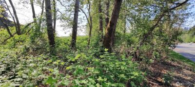 0 xxx 140th Avenue NE, Woodinville, WA 98072 - Photo 9