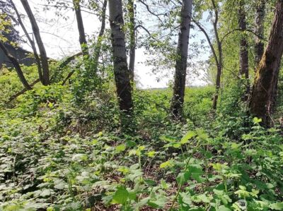 0 xxx 140th Avenue NE, Woodinville, WA 98072 - Photo 10