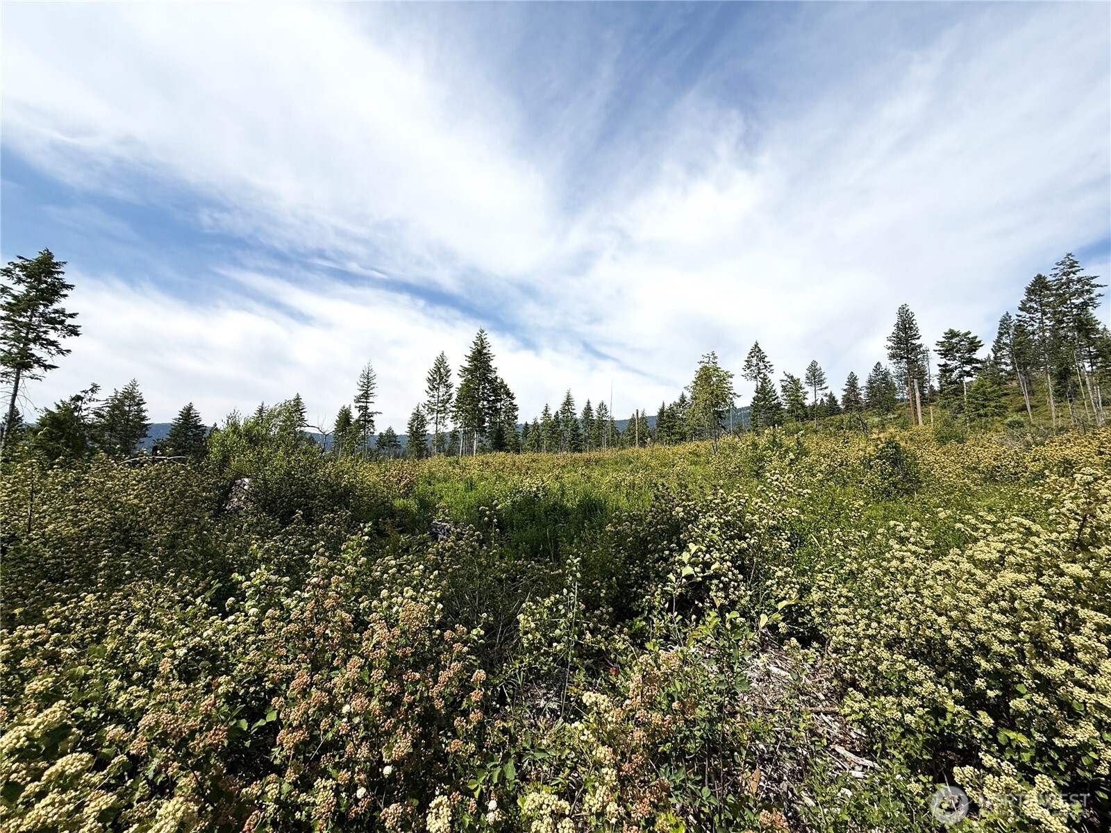 0 Rockabye Lane , Curlew, WA 99118