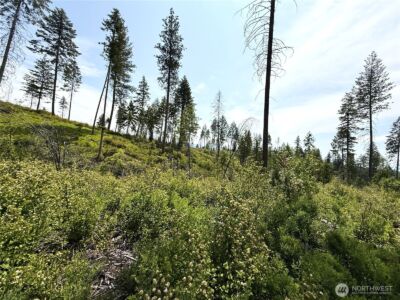 0 Rockabye Lane , Curlew, WA 99118 - Photo 11