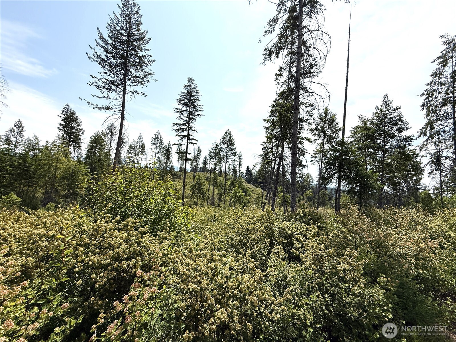 0 Rockabye Lane , Curlew, WA 99118