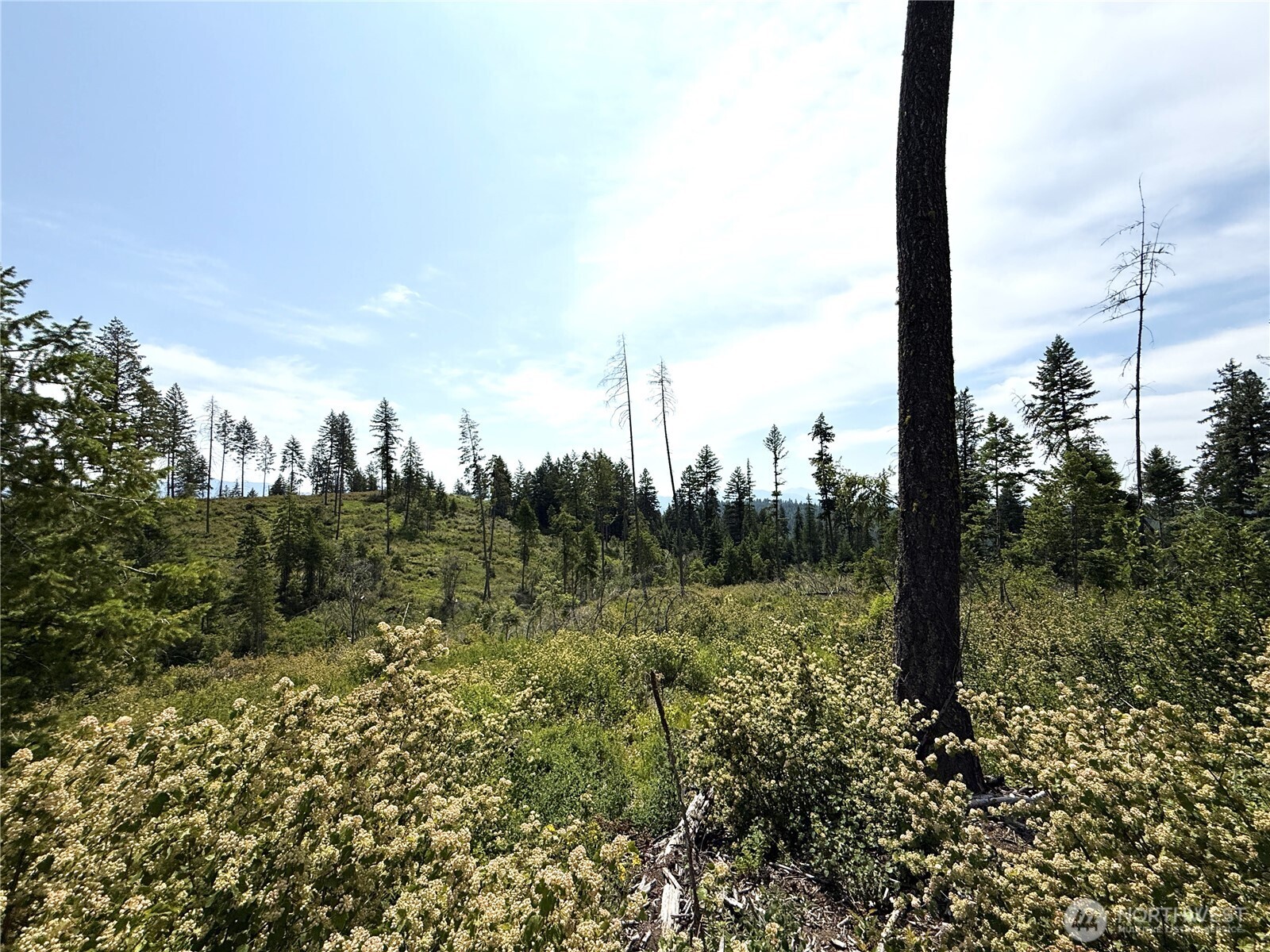 0 Rockabye Lane , Curlew, WA 99118