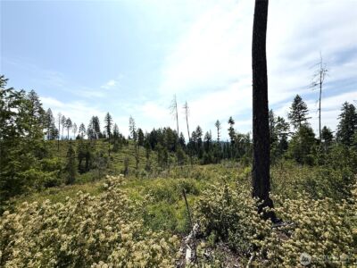 0 Rockabye Lane , Curlew, WA 99118 - Photo 14