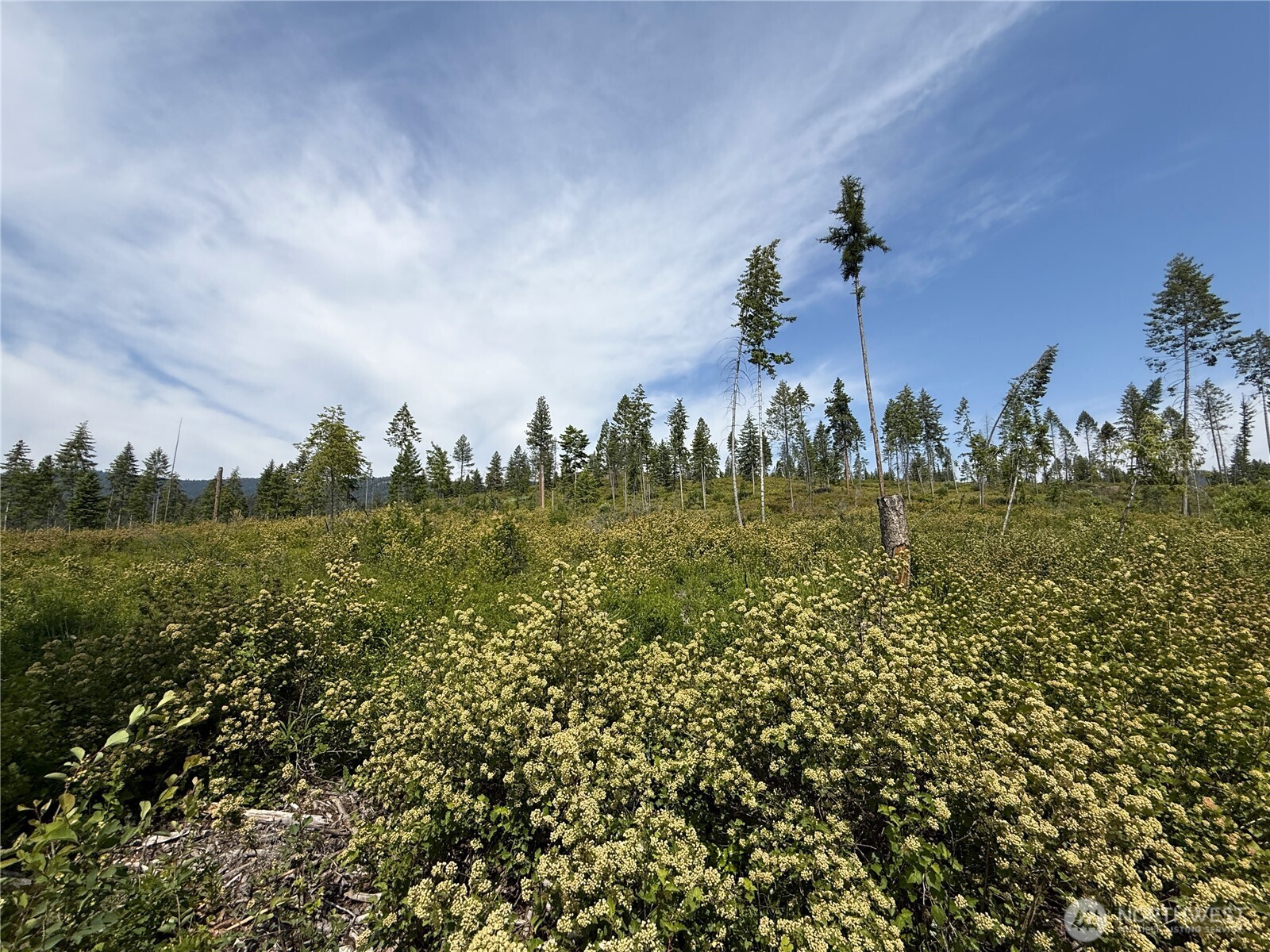 0 Rockabye Lane , Curlew, WA 99118