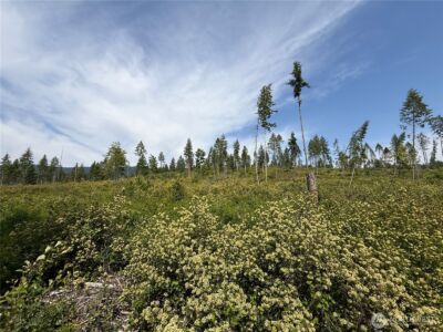 0 Rockabye Lane , Curlew, WA 99118 - Photo 16