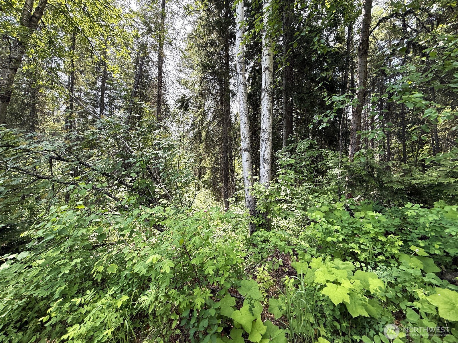 0 Rockabye Lane , Curlew, WA 99118