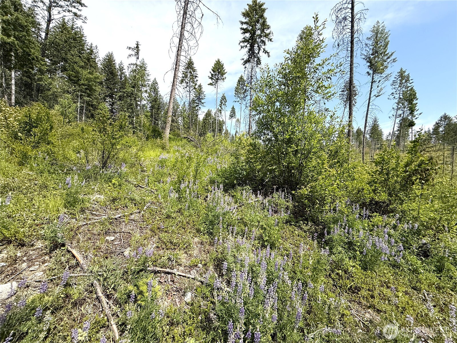 0 Rockabye Lane , Curlew, WA 99118