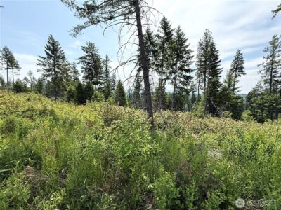 0 Rockabye Lane , Curlew, WA 99118 - Photo 4