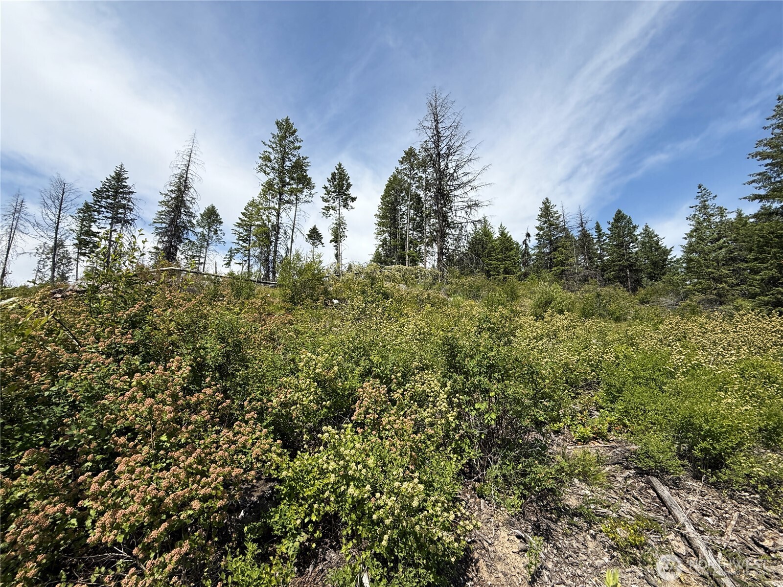 0 Rockabye Lane , Curlew, WA 99118