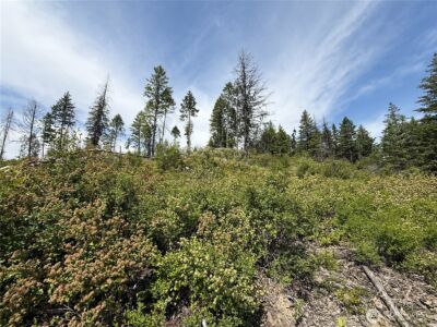 0 Rockabye Lane , Curlew, WA 99118 - Photo 5