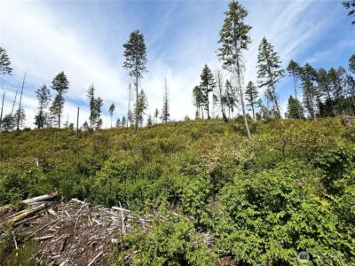 0 Rockabye Lane , Curlew, WA 99118 - Photo 8