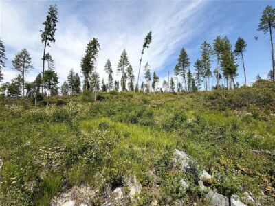 0 Rockabye Lane , Curlew, WA 99118 - Photo 10