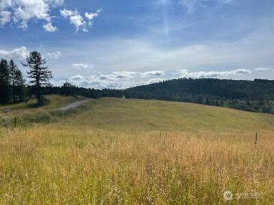 111 TBD Davies Road , Oroville, WA 98844