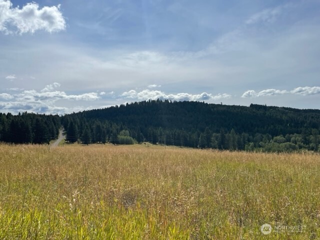 111 TBD Davies Road , Oroville, WA 98844