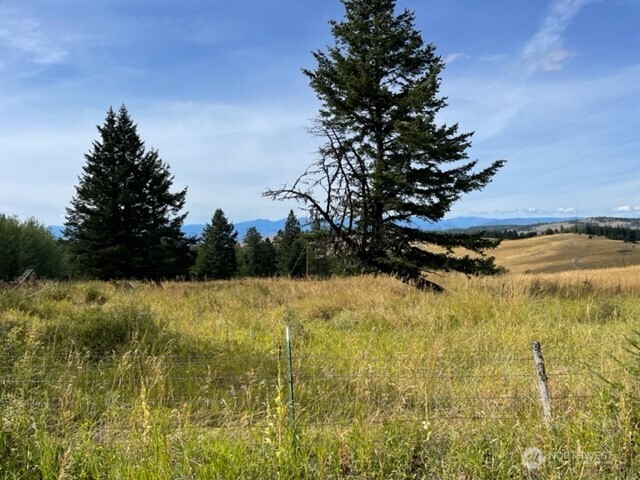 111 TBD Davies Road , Oroville, WA 98844