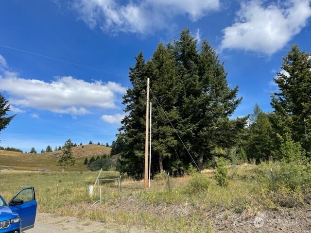 111 TBD Davies Road , Oroville, WA 98844