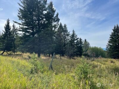 111 TBD Davies Road , Oroville, WA 98844 - Photo 2