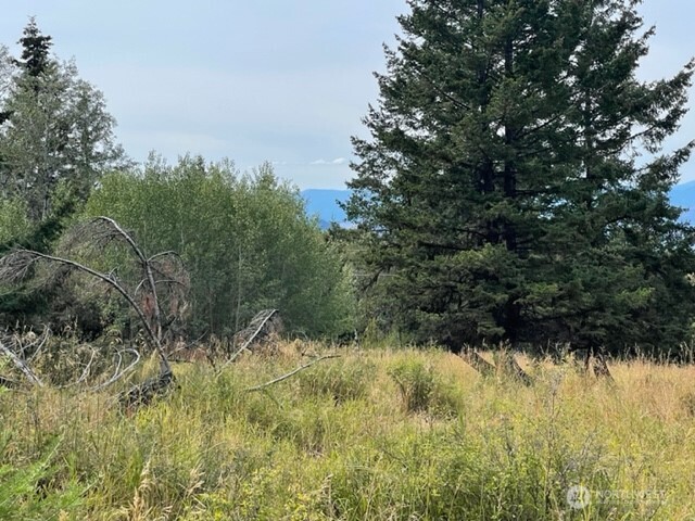 111 TBD Davies Road , Oroville, WA 98844