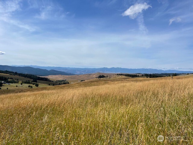 111 TBD Davies Road , Oroville, WA 98844