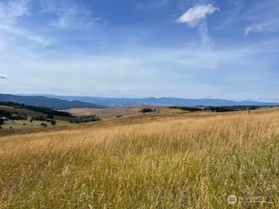 111 TBD Davies Road , Oroville, WA 98844 - Photo 4