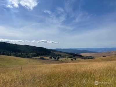 111 TBD Davies Road , Oroville, WA 98844 - Photo 5