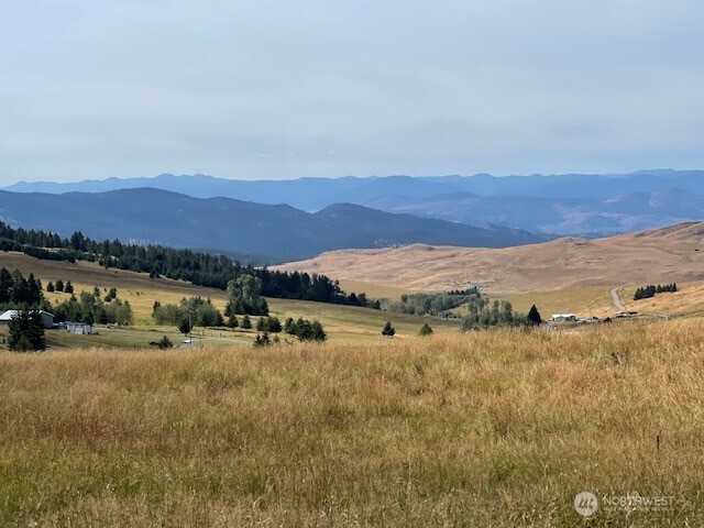 111 TBD Davies Road , Oroville, WA 98844