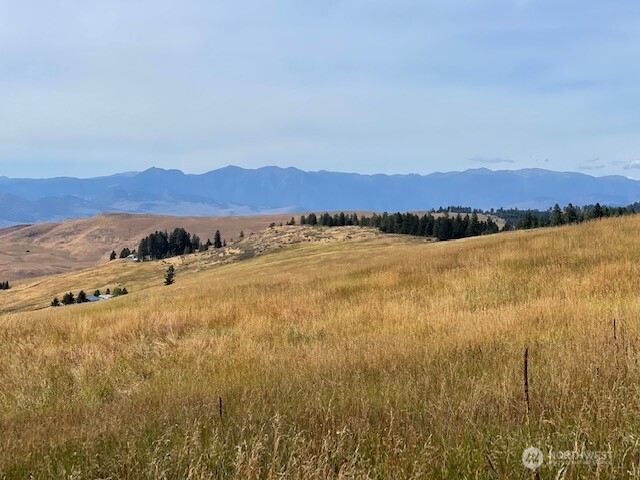 111 TBD Davies Road , Oroville, WA 98844